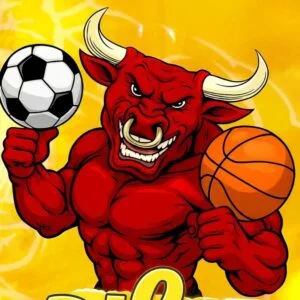 חבילת כדורגל חודשית